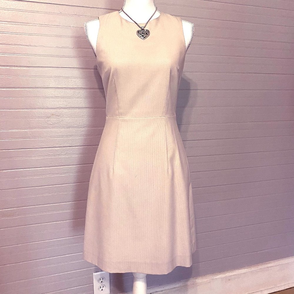 H&M Shift Dressed Fitted-  sz 6